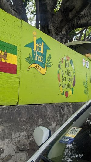  at Freedom Fighters Ital Shack in Philipsburg
