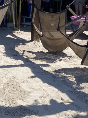   at Fish Tales in Ocean City