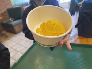 Mango sorbet   at Green Cuisine Vegetarian Restaurant in Victoria
