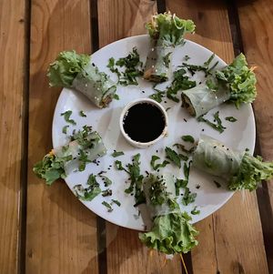 Summer rolls  at Bean Me Up in Goa