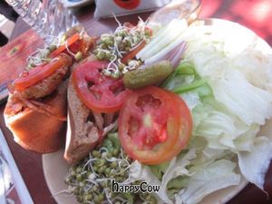 Seitan Pita sandwich with salad at Bean Me Up in Goa