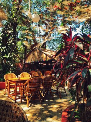 Garden seating area at Bean Me Up in Goa