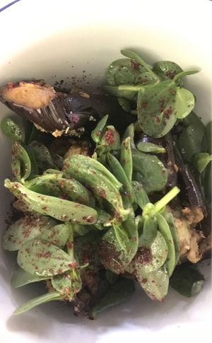 Eggplant  at Louvre Michaelense in Sao Miguel