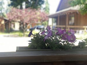 View from the patio   at Eve Olive in Nanaimo