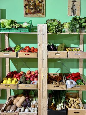   at Ecopunt in Mallorca