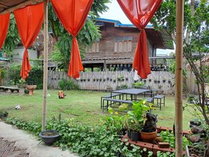 Chilled garden inside :) at Pizza House in Sukhothai