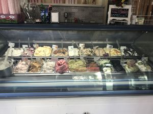 The lower half is all vegan!  at Gelateria Kremmy in Viareggio