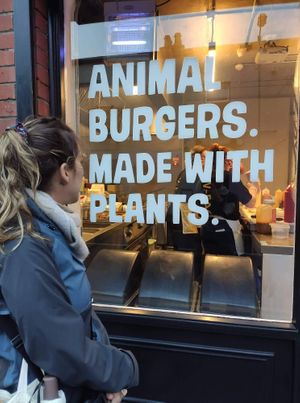 Window at V-Face in Dublin