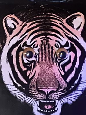   at Hungry Tiger in Portland