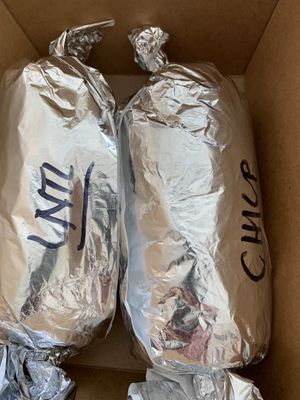 Wraps to go  at Angry Vegan in Penticton