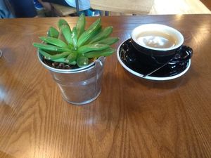 Coffee at Zenith in Lisbon