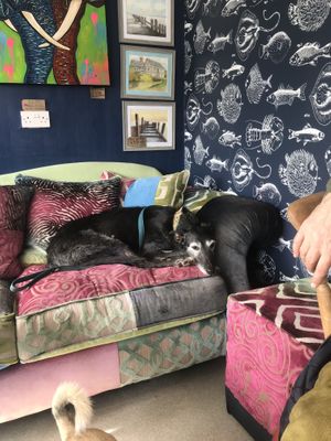   at Cafe Carmel in Bacton