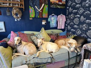   at Cafe Carmel in Bacton