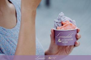 ice cream at Levendula Kezmuves Fagylaltozo in Szeged