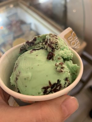 Mint gelato at Aubergine Cafe in Corfu