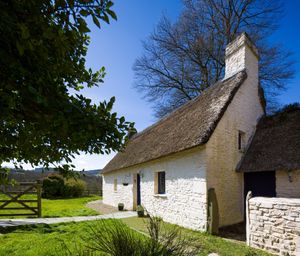 Morning at the cottage at Robins Realm in Carmarthen