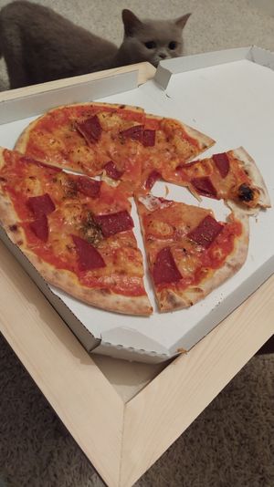 Pizza Salami at Veg-Italia in Passau