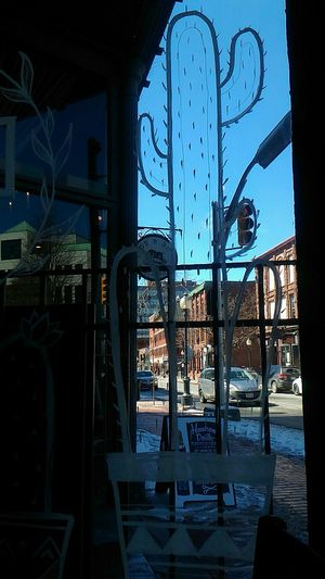 Cactus at Duo Cafe in Moncton