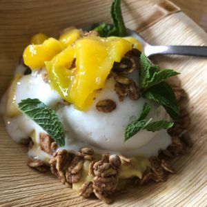 Mango rice pudding  at Omni Cafe in Whitley Bay