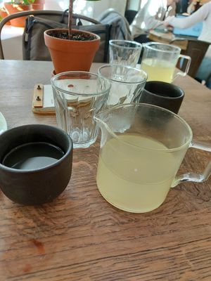 Ginger tes at Skøg in Brno