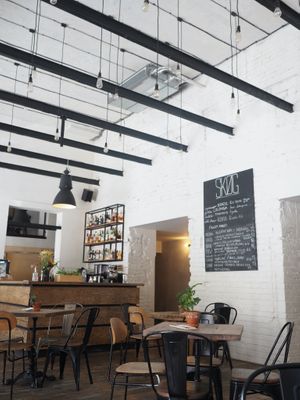 Skog in Brno at Skøg in Brno