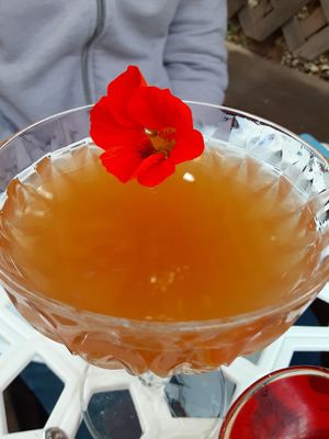 The Kindness of Strangers at Fog Eater Cafe in Mendocino