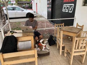 Outdoor Seating at Natural Vegan - Av Concordia in Ciudad Del Carmen