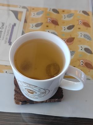 熱金桔檸檬 at Coolife Owl 貓頭鷹藝品蔬食館 - Māotóuyīng in New Taipei City