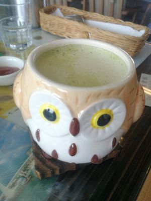 matcha oat latte at Coolife Owl 貓頭鷹藝品蔬食館 - Māotóuyīng in New Taipei City
