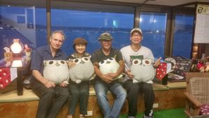 海景咖啡館 at Coolife Owl 貓頭鷹藝品蔬食館 - Māotóuyīng in New Taipei City