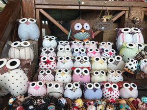 Owls  at Coolife Owl 貓頭鷹藝品蔬食館 - Māotóuyīng in New Taipei City