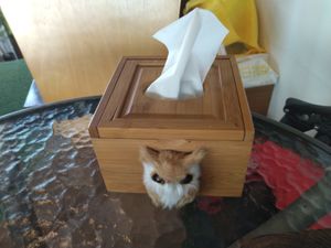 面紙盒 at Coolife Owl 貓頭鷹藝品蔬食館 - Māotóuyīng in New Taipei City