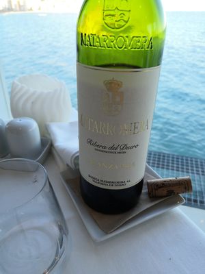 Vegan wine, Crianza. at Villa Venecia Hotel in Benidorm