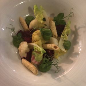 Structure of beetroot and cauliflower, deepfried  penne and mashed peas at De Oude Sluis in Groningen
