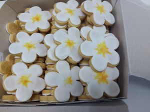 Sugar cookies at Biscotti House in Chiang Mai
