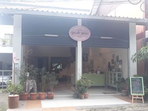 Outside at Biscotti House in Chiang Mai