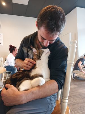  at Catnap Cafe in Christchurch