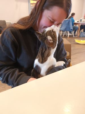  at Catnap Cafe in Christchurch