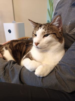  at Catnap Cafe in Christchurch