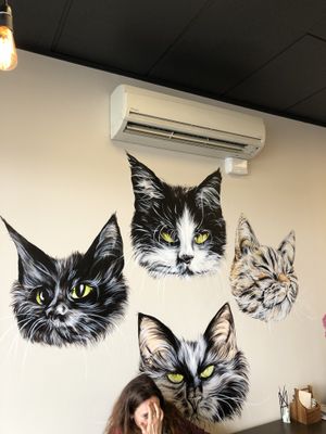 Wall art at Catnap Cafe in Christchurch