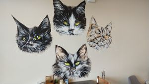 Wall of cafe at Catnap Cafe in Christchurch