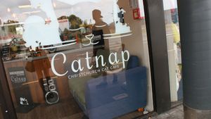 Catnap at Catnap Cafe in Christchurch
