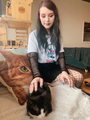 Kitty  at Catnap Cafe in Christchurch