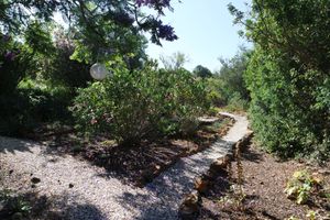 House's garden at Casa D'Ouro in Praia Da Luz