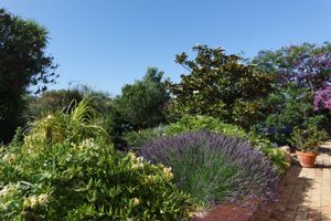 House's garden at Casa D'Ouro in Praia Da Luz