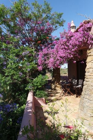 house and his bougainvillier at Casa D'Ouro in Praia Da Luz
