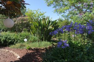 Beautiful garden at Casa D'Ouro in Praia Da Luz