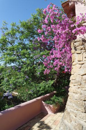 from the corner of the terrace at Casa D'Ouro in Praia Da Luz