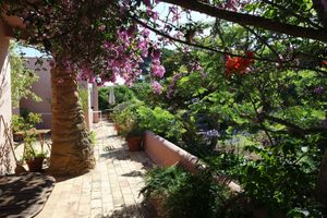 Flowered outside at Casa D'Ouro in Praia Da Luz