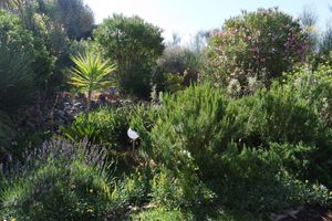 View on the garden at Casa D'Ouro in Praia Da Luz